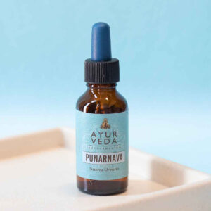 Punarnava